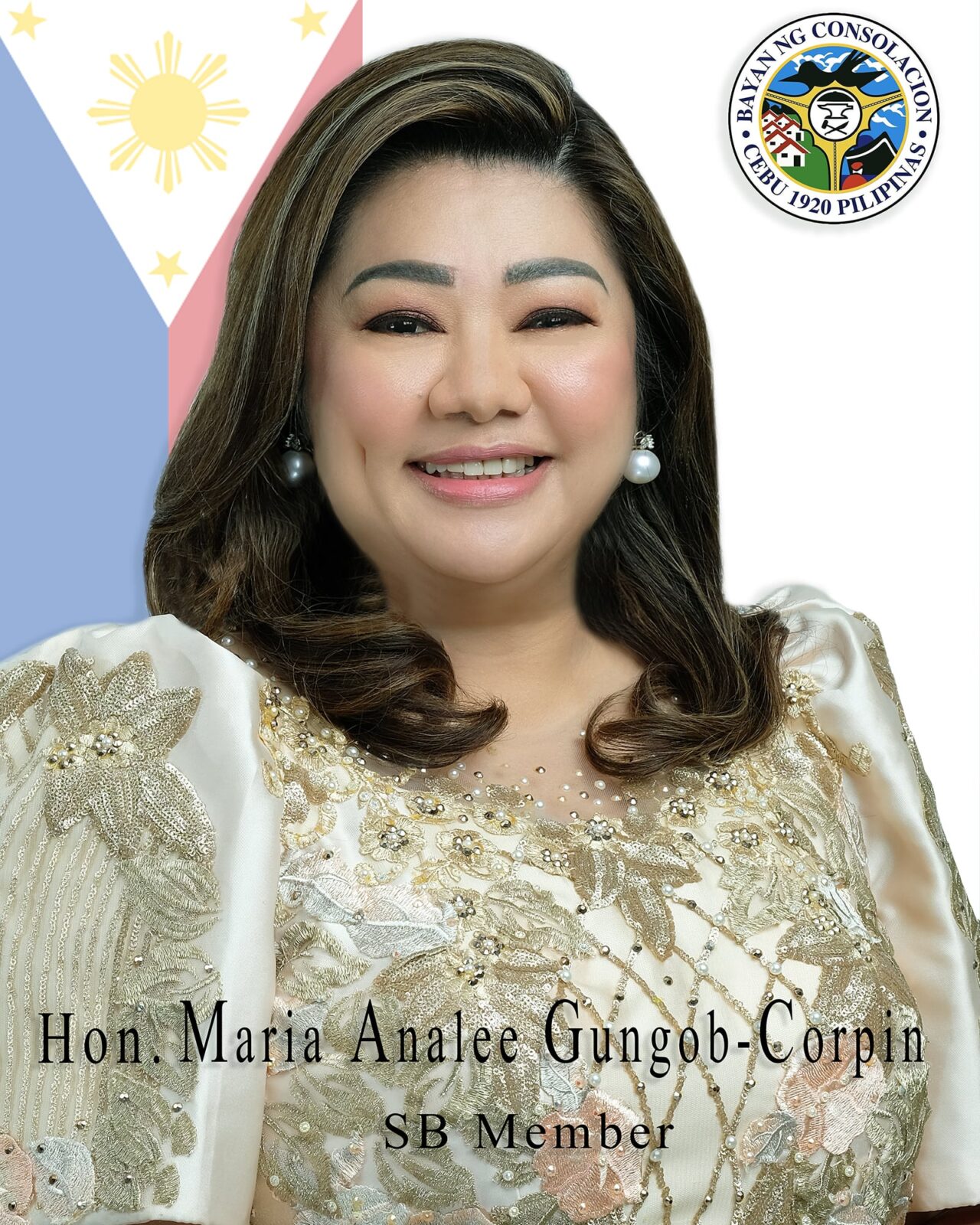 Home sangguniang bayan municipality of consolacion